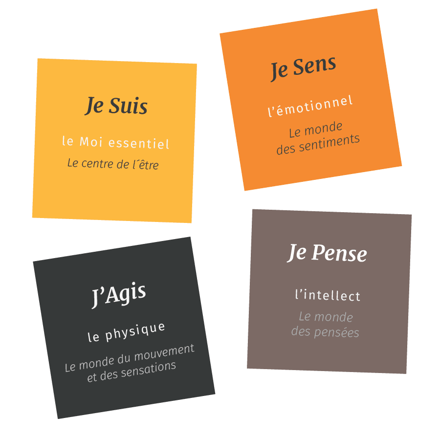 hoffman-france-processus-objectifs